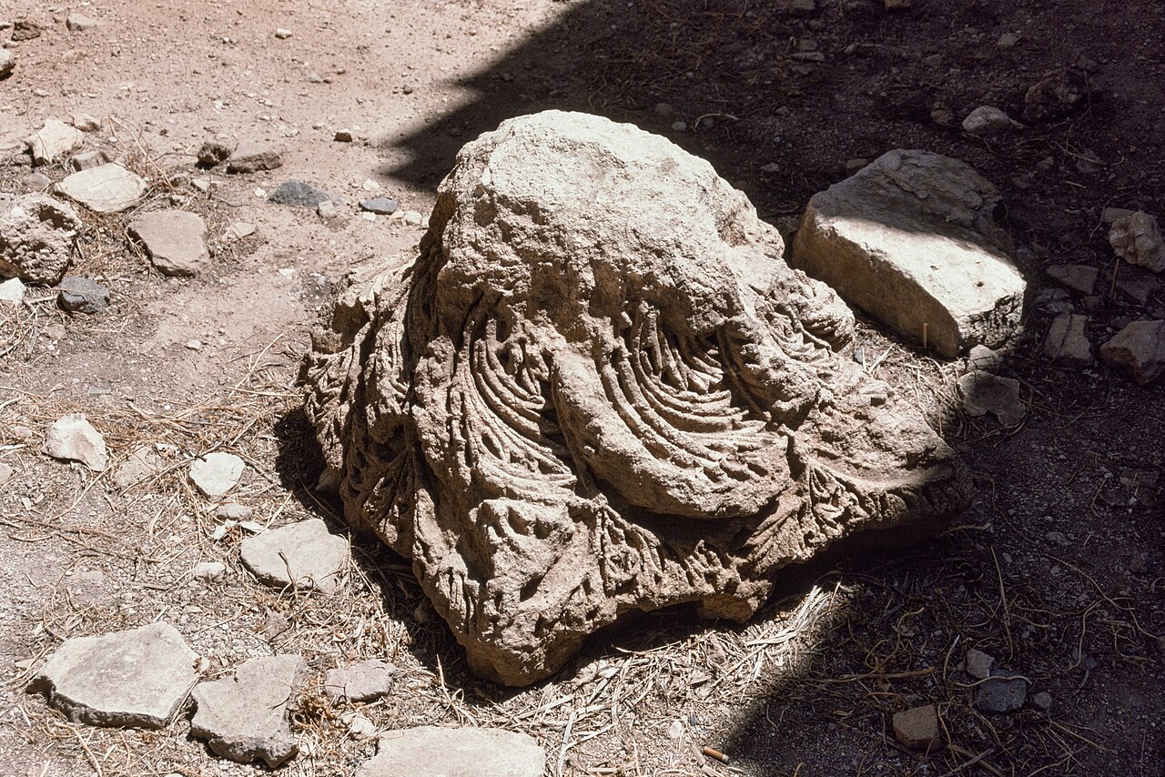image5